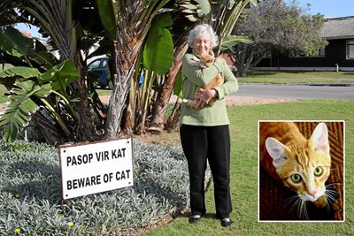 Pasop vir die kat